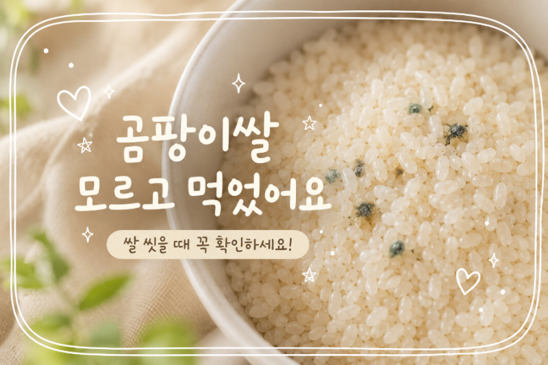 곰팡이쌀 모르고 먹었어요｜쌀 씻을 때 이런 색이면 절대 먹지 마세요