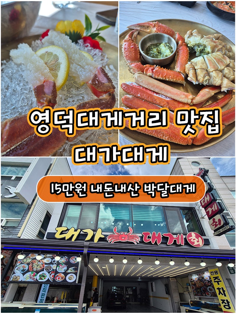 영덕 대게 맛집｜영덕대게거리 대가대게 박달대게 15만원 내돈내산 후기