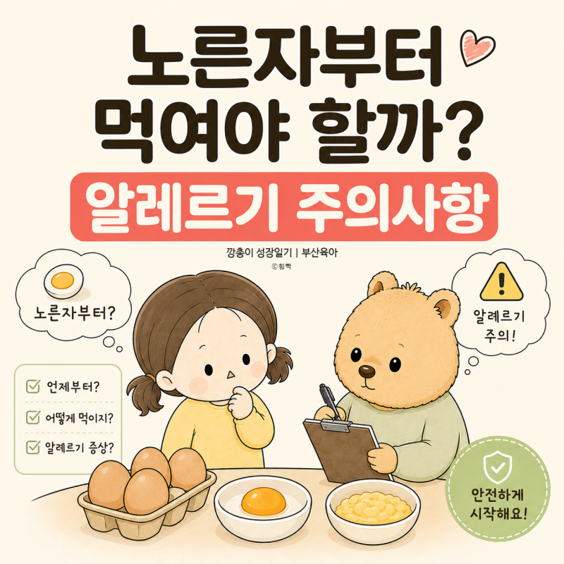 아기 계란 이유식 언제부터?｜노른자부터 먹여야 할까? 알레르기 주의사항