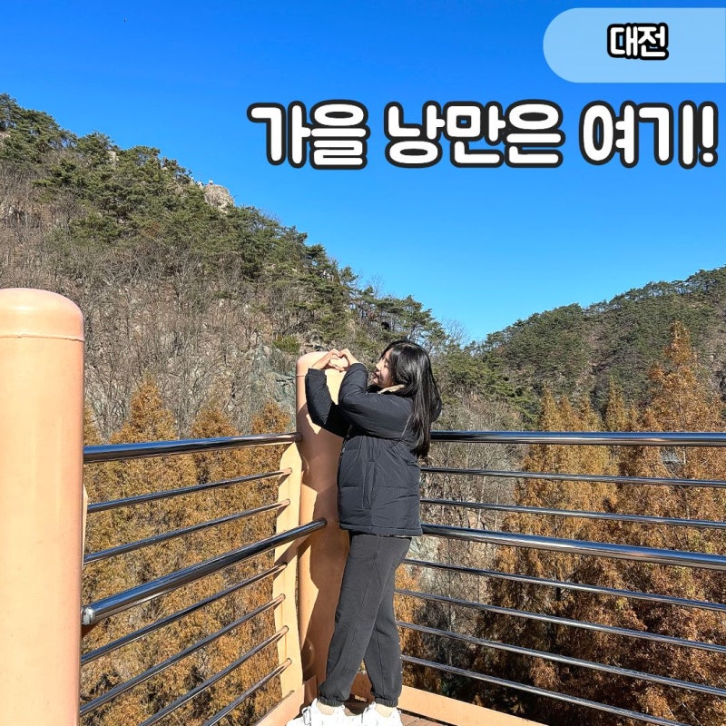"1시간이면 돼?" 대전 장태산 자연휴양림 단풍 출렁다리 가을 여행