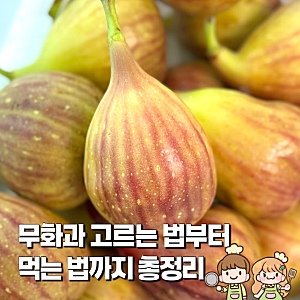 무화과 고르는 법부터 먹는 방법까지 총정리