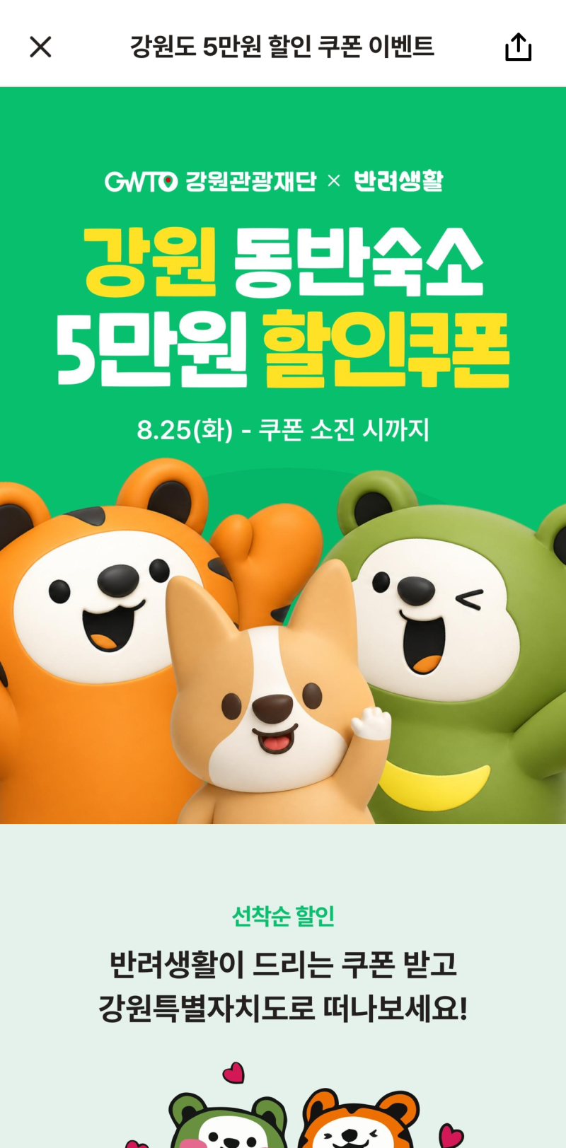 강원도 애견동반 숙소 5만원 할인받는 법｜반려생활 쿠폰 직접 사용해본 후기