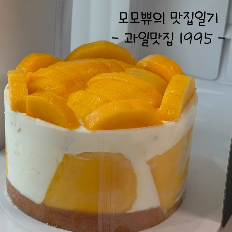 [발산역 케이크] 과일맛집1995 생망고 폭탄 케이크 부모님 생신 기념일 내돈내산 후기
