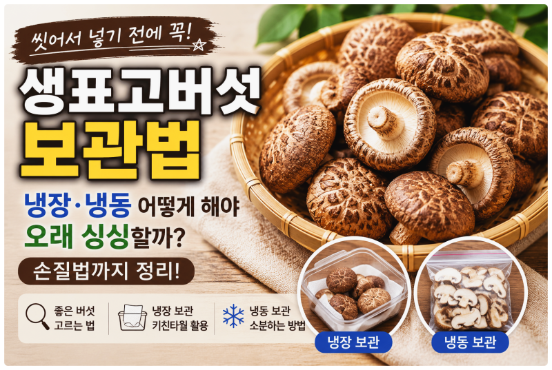 생표고버섯 보관법｜씻어서 넣기 전에 꼭 알아야 할 냉장·냉동 방법