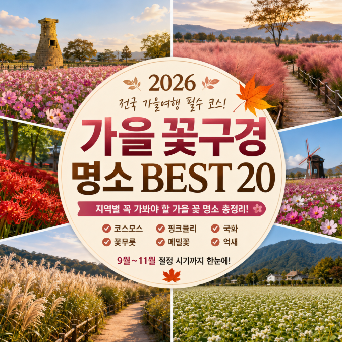 2026 가을 꽃구경 명소 BEST 20｜전국 지역별 코스모스·핑크뮬리·국화·꽃무릇 명소 총정리