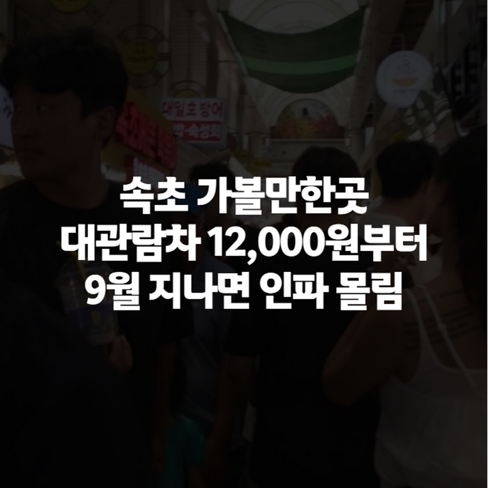 속초 가볼만한곳 강원도 코스 총정리, 9월 부모님 모시고 가기 좋은 이유