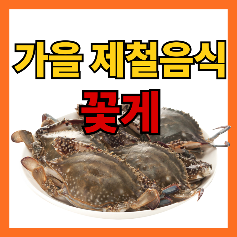 가을 꽃게 제철 시기 고르는 법 암꽃게 차이점 총정리