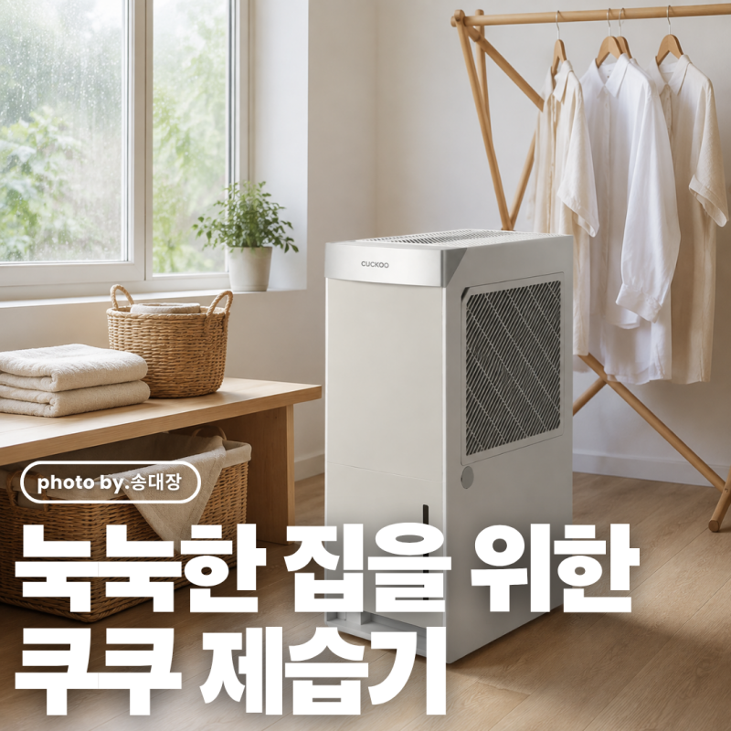 폭 22cm 초슬림 디자인! 쿠쿠 인스퓨어 제습기 어스베이지 16L 공간 활용 팁 / 송대장