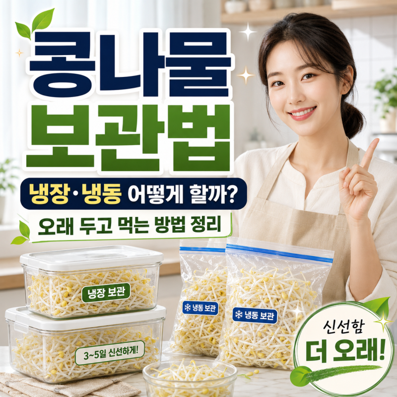 콩나물 보관법 냉장·냉동 어떻게 할까? 오래 두고 먹는 방법 정리