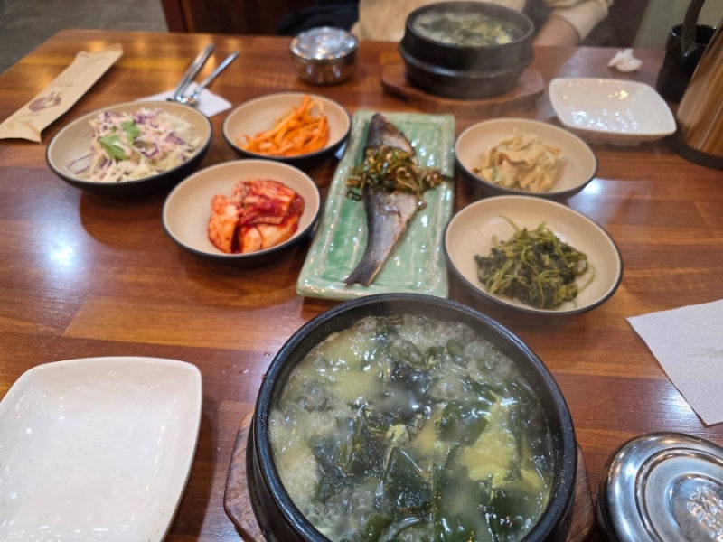2026.02 - 수원 매탄동 맹해성이비인후과 / 중경마라탕 성균관대3호점 / 수원시청역 안녕돼지국....