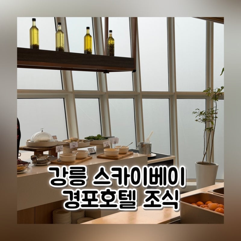 강릉 스카이베이 경포호텔 조식 가격 후기 시간 할인