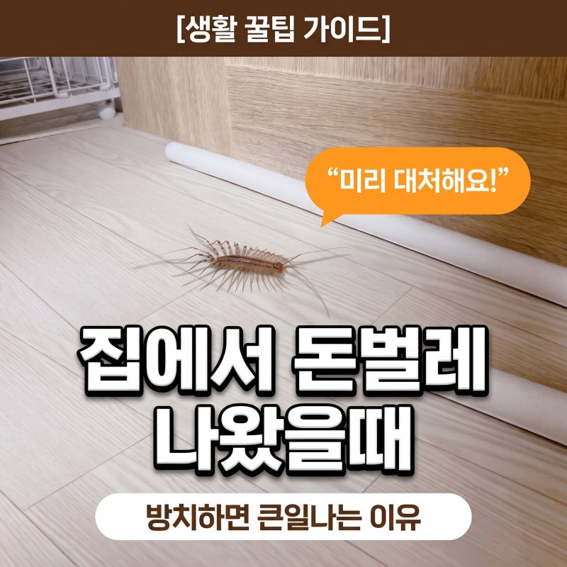 “집에서 돈벌레가 나왔다” 방치하면 큰일 나는 이유, 당장 확인할것