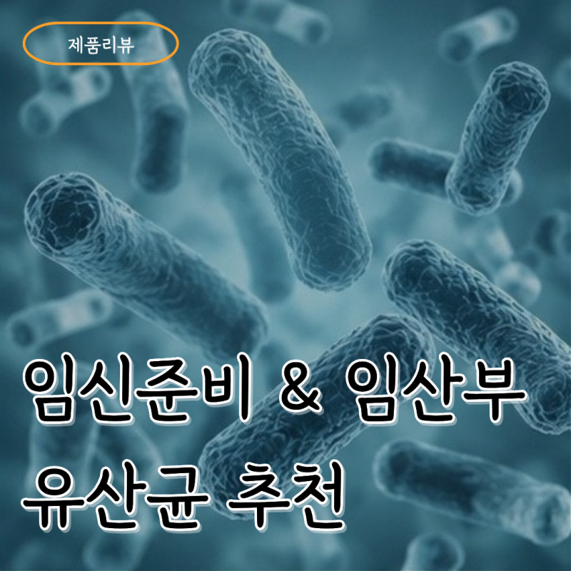 제품리뷰 #9. 임산부 유산균 뭐 먹지? 임신 변비 없이 지낸 덴프스 유산균 + 올록담 올리브3 후....