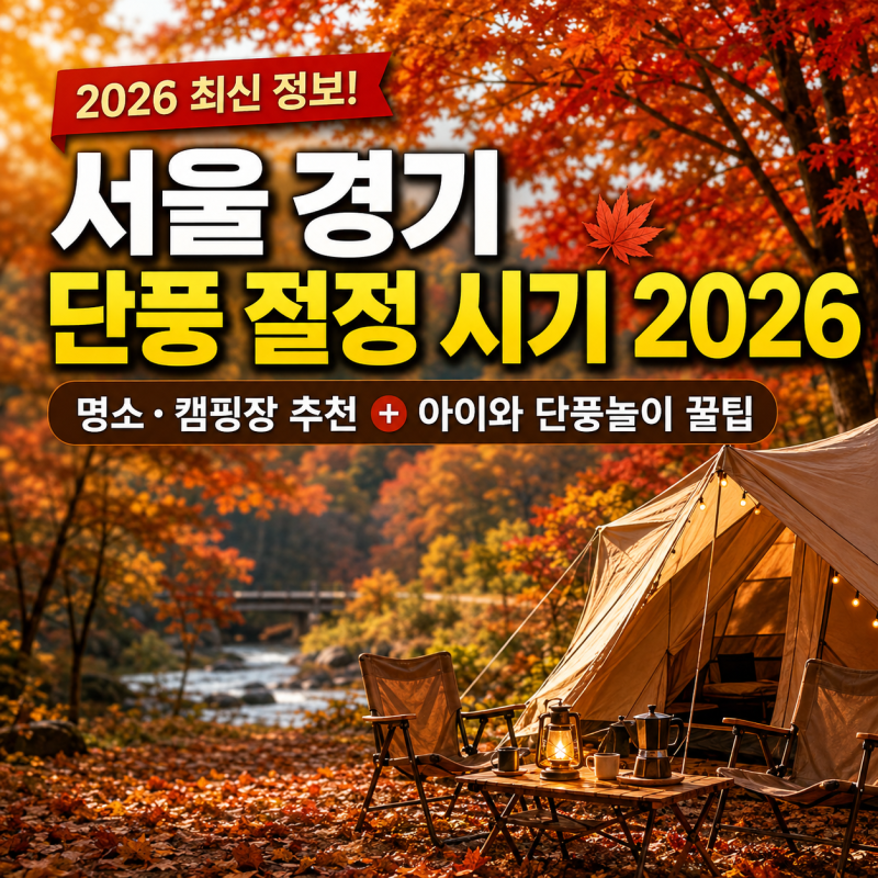 서울 경기 단풍 절정 시기 2026서울 근교 단풍 명소·캠핑장 추천 + 아이와 단풍놀이 꿀팁