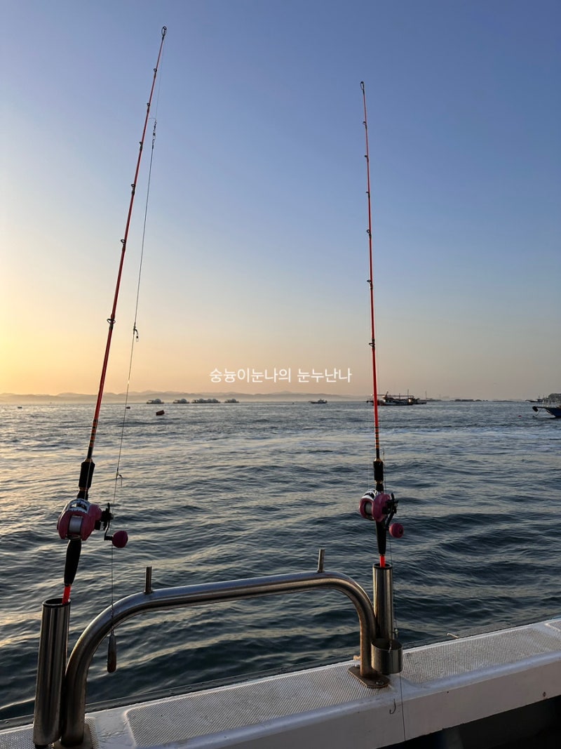 쭈꾸미 낚시 처음 초보자를 위한 팁 | 쭈꾸미 꽃게 금어기 해제 낚시 ㅣ 인천 태안 배낚시