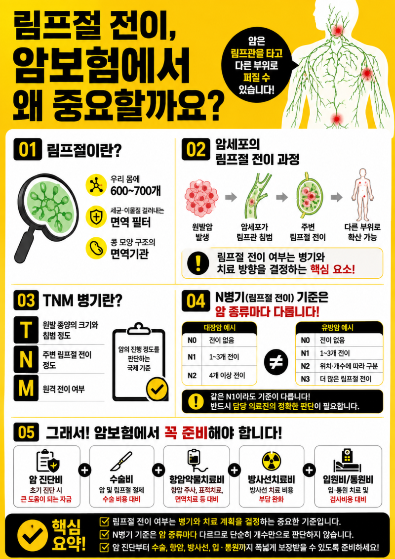 림프절 전이되면 암 몇 기일까? 암보험에서 꼭 확인해야 할 치료비 보장