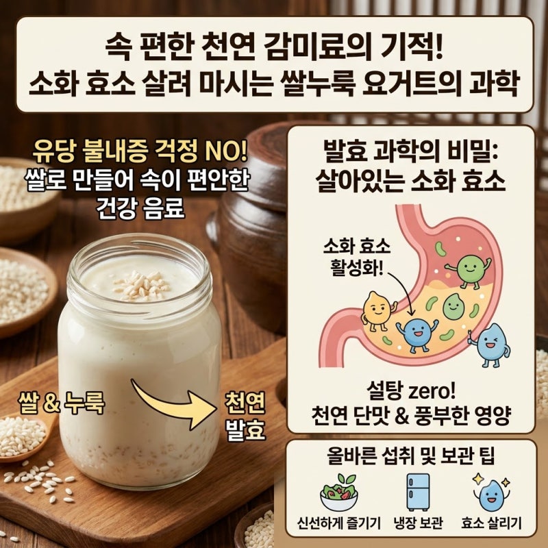 속 편한 천연 감미료의 기적! 소화 효소 살려 마시는 쌀누룩 요거트의 과학
