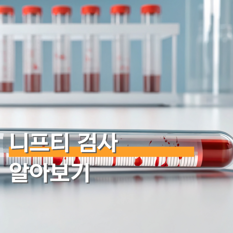 니프티 검사 지원금 알아보기 경기도 서울 지역 중심