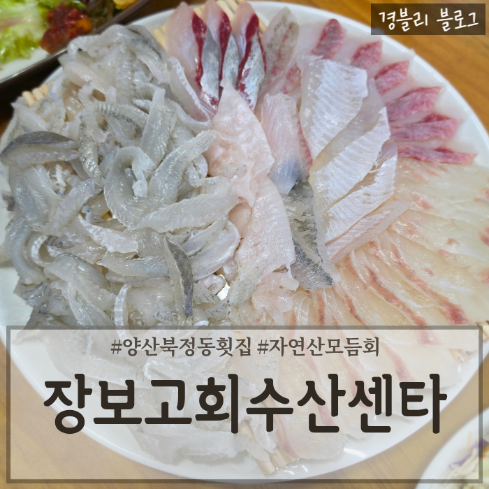양산북정동횟집 가성비좋은 회맛집 양산가족외식추천 '장보고회수산센타 북정점'