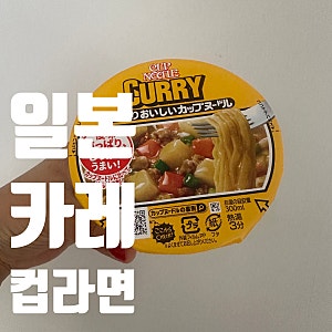 일본은 컵라면도 유명하다며 눈에 띈 카레라면 컵라면 후기  닛신컵라면 기내반입