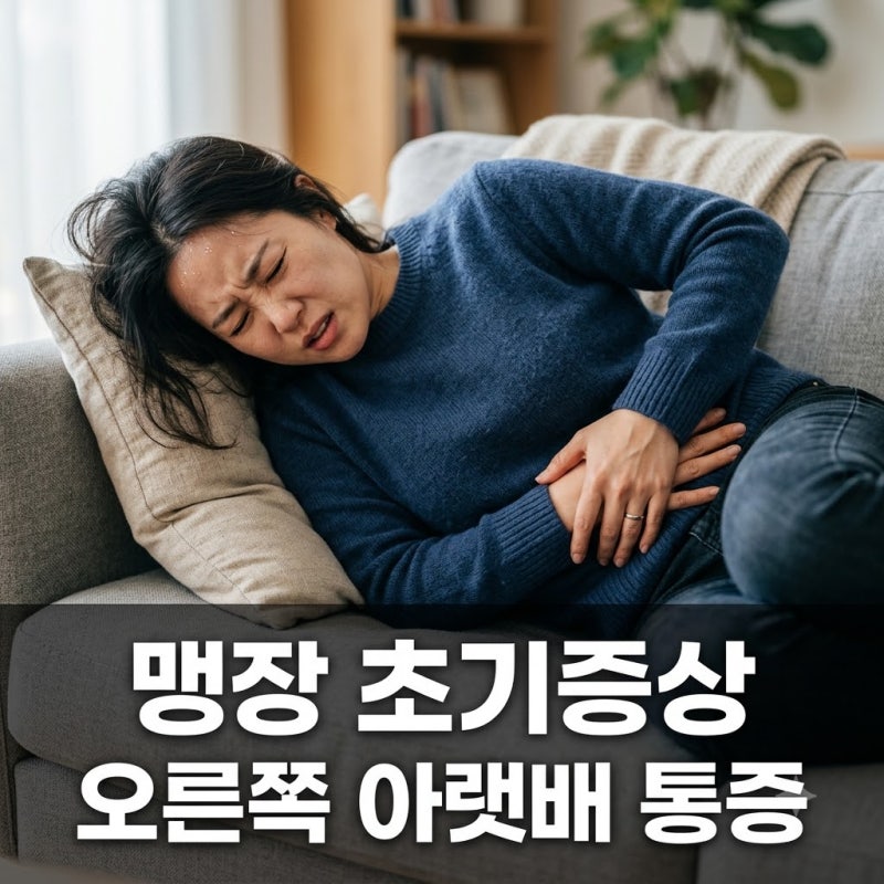 맹장 초기 증상 대표적 통증 위치와 응급실 가야 하는 신호 5가지