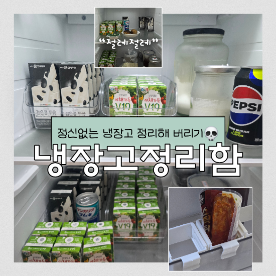 냉장고 정리함 추천 리베온 올인원 냉장고 정리 패키지 8P로 깔끔하게 정리하기