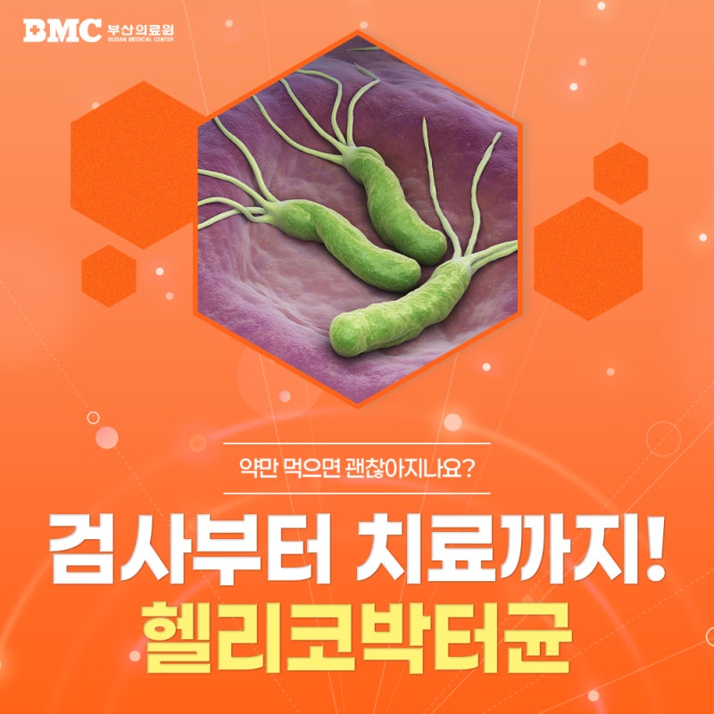 연산내과 헬리코박터균 꼭 치료해야 할까? 위암과의 관계부터 제균치료까지