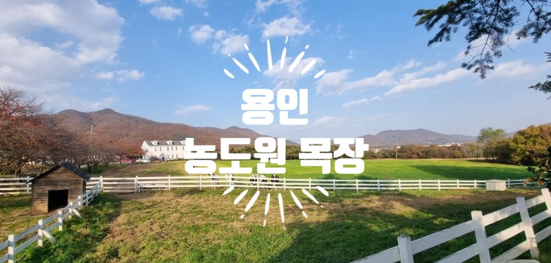 용인 농도원목장 예약 없이 갔다가 벌어진 일, 가격까지 총정리