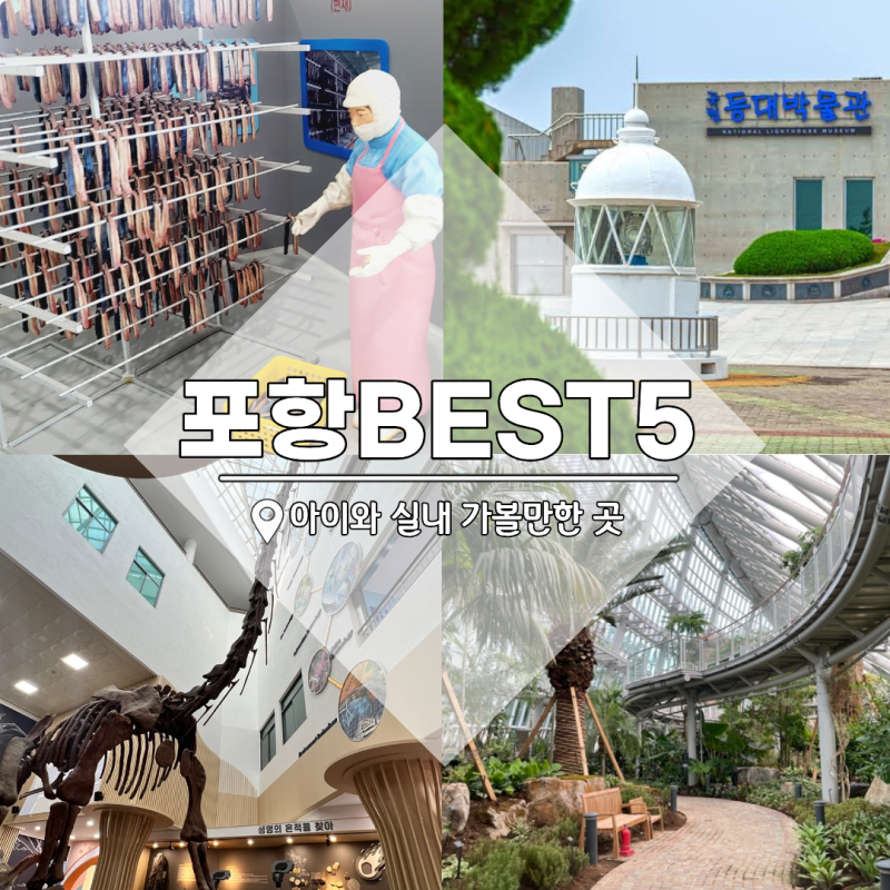 포항 가볼만한곳 BEST5 "아이와 즐기는 실내 코스"