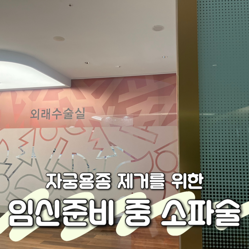 일산차병원 자궁용종 제거 후기｜임신준비 중 소파술 1박 2일 입원·수술비용