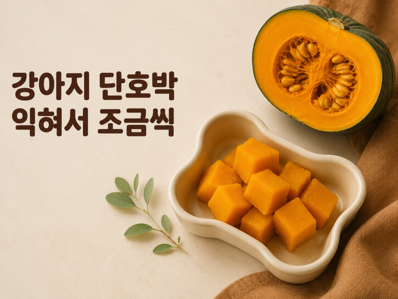 강아지 케익의 재료 중 단호박,익혀서 조금씩 줘야 하는 이유