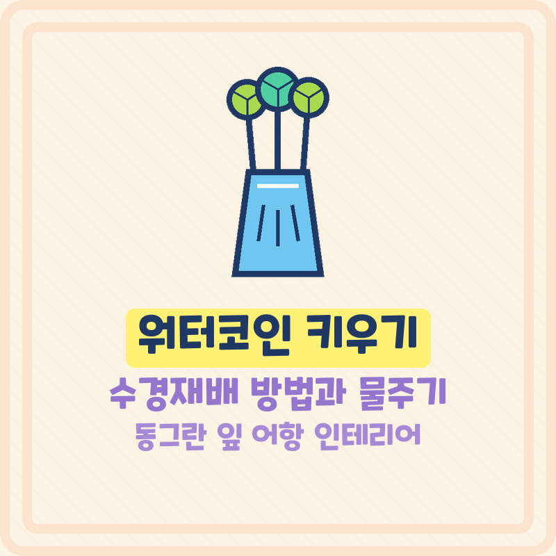 워터코인 키우기 수경재배 방법 동그란 잎 모양 어항 고르기와 물주기
