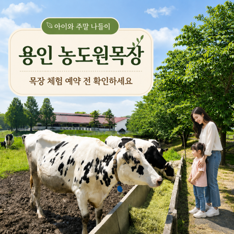 용인 농도원목장 목장 체험 예약 전 확인하세요