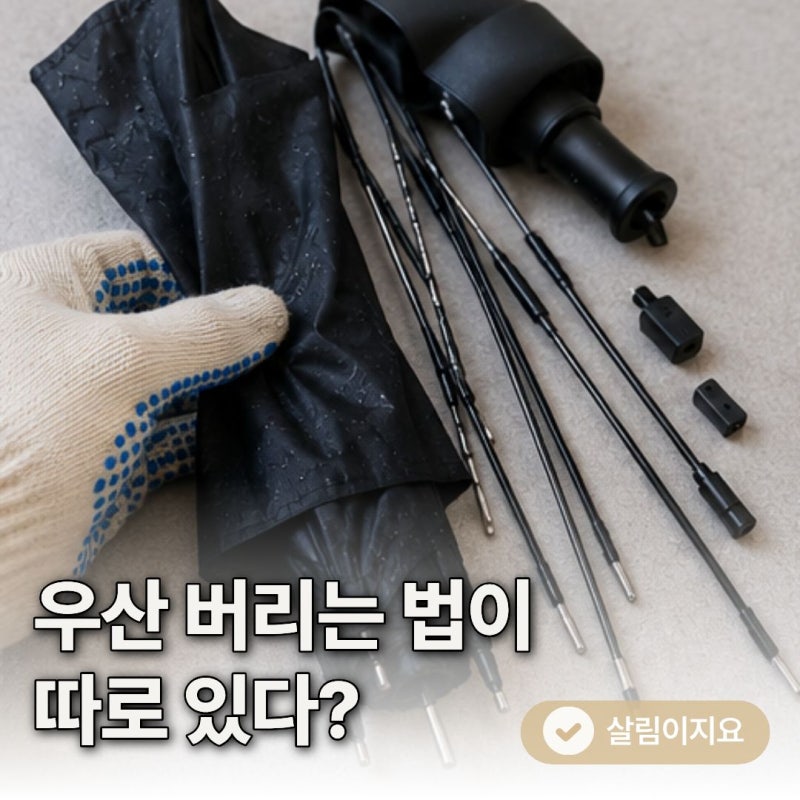 우산 버리는 법 따로 있다? 다들 헷갈리는 "이것"
