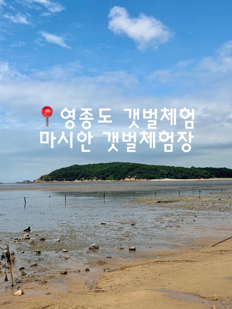 Yeongjongdo Mashian Tidal Flat Experience with Kids: Review, Fees, Preparations, Tide Times, Parking Guide