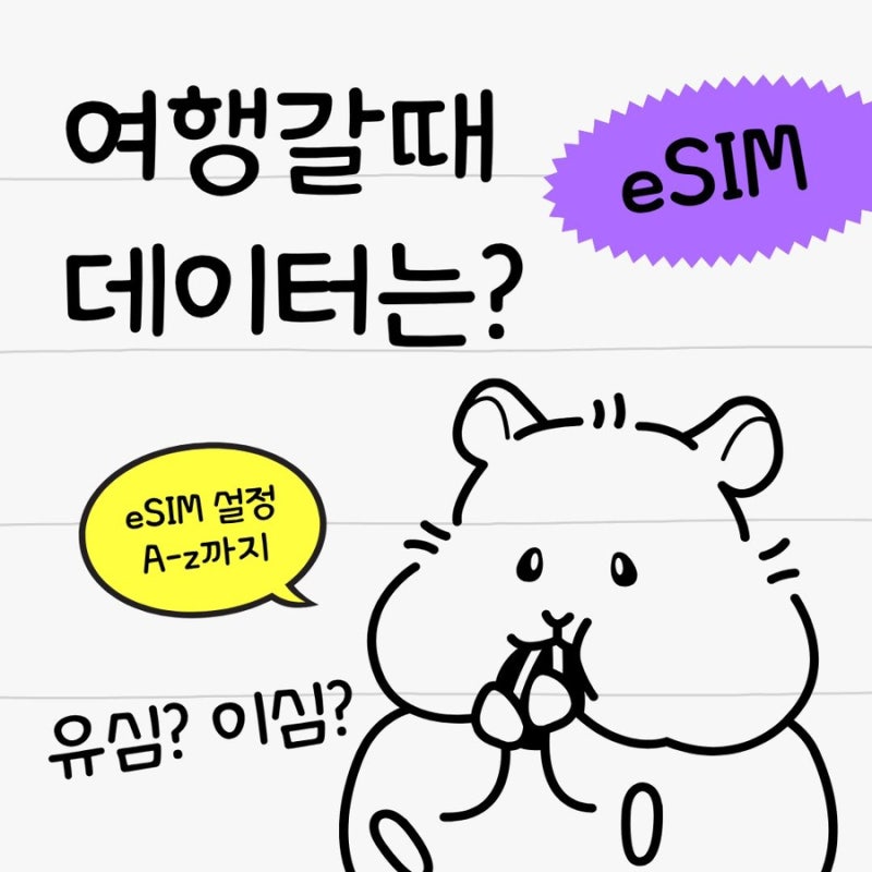 여행 갈 때 eSIM 사용하는 방법｜해외여행 데이터 걱정 없이 쓰는 법, 설치과정 아이폰ver.