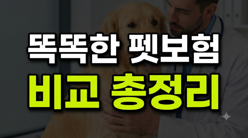 펫보험 비교 가이드: 가격부터 가입 나이 면책기간 청구 서류 총정리