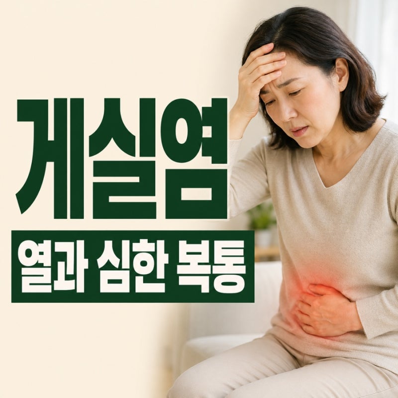 게실염 게실 차이 통증과 발열로 보는 진료 시점