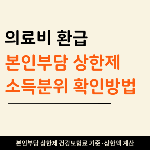 본인부담상한제 소득분위 확인방법 (+ 건강보험료로 내 상한액 찾는 법)