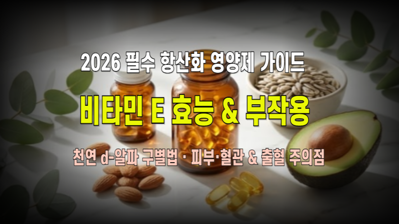 비타민E 2026 완전정복 : 세포막 항산화·피부 탄력 노화 방지부터 혈관 순환 효능까지, 천연(d-....