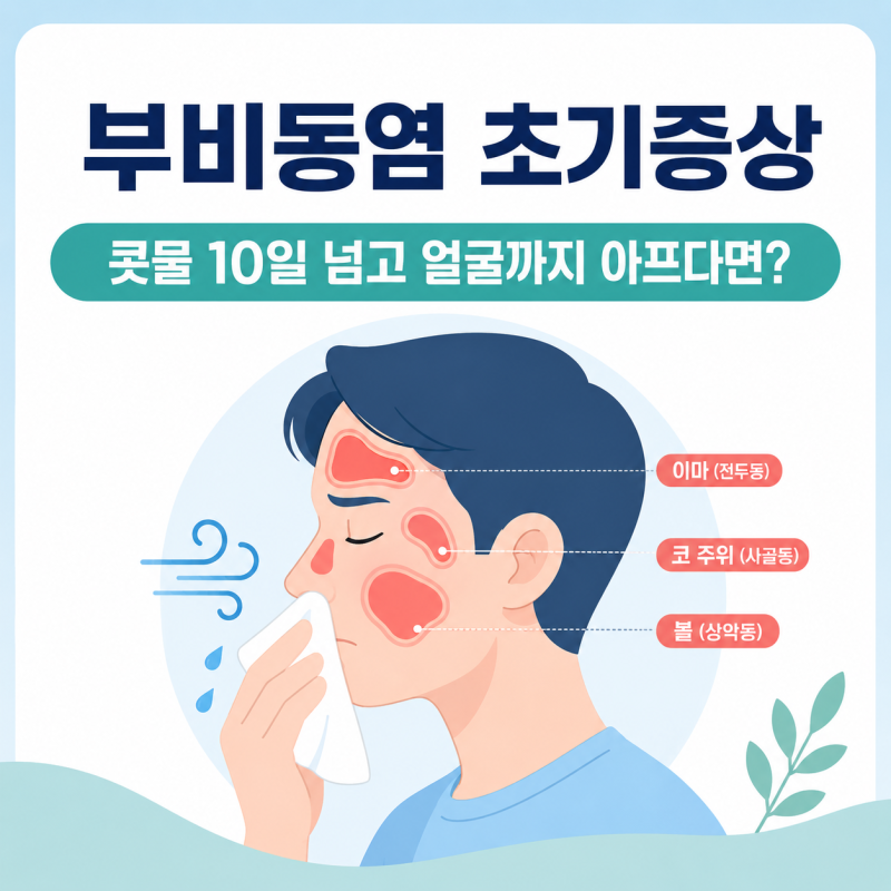 부비동염 초기증상, 콧물 10일 넘고 얼굴까지 아프다면?