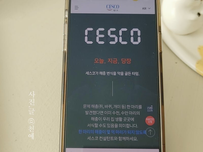 세스코 통합 해충 방제 및 세스코 공기청정기로 완성하는 실내 환경 케어