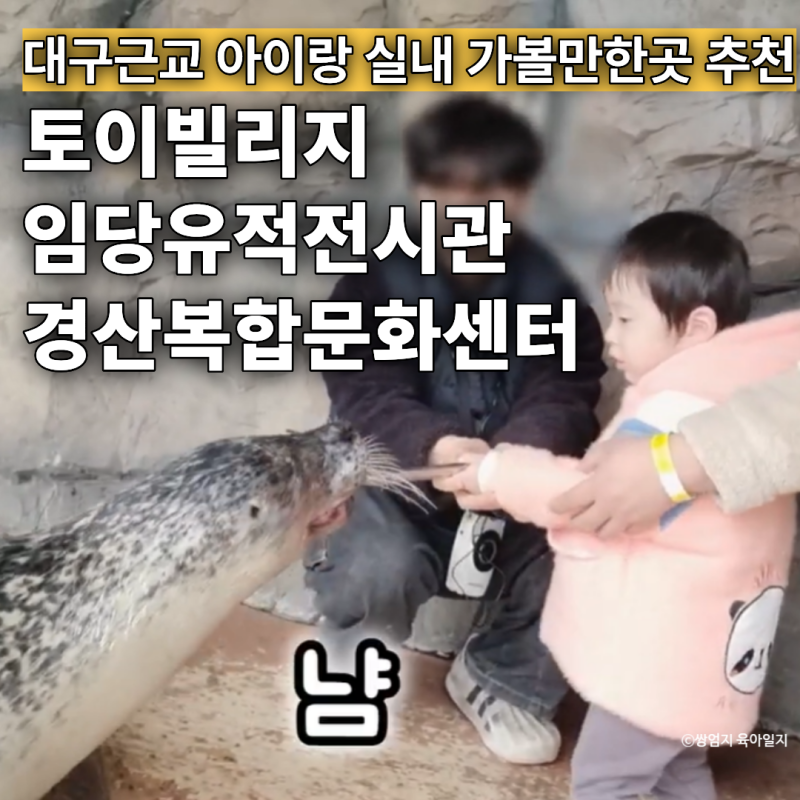 대구근교 아이랑 실내 가볼만한곳 추천｜토이빌리지·임당유적전시관·경산복합문화센터