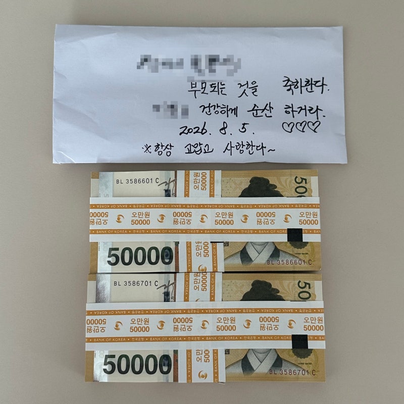 태어난 아들로 생긴 목돈 활용계획(ft 부부교사)