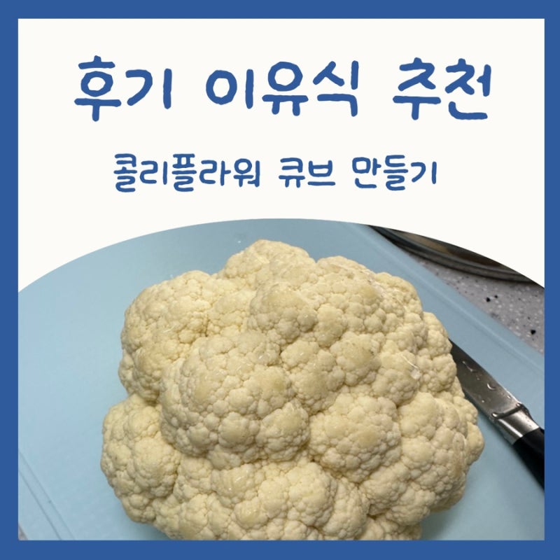 후기 이유식 컬리플라워 큐브 만들기, 소고기 진밥 레시피