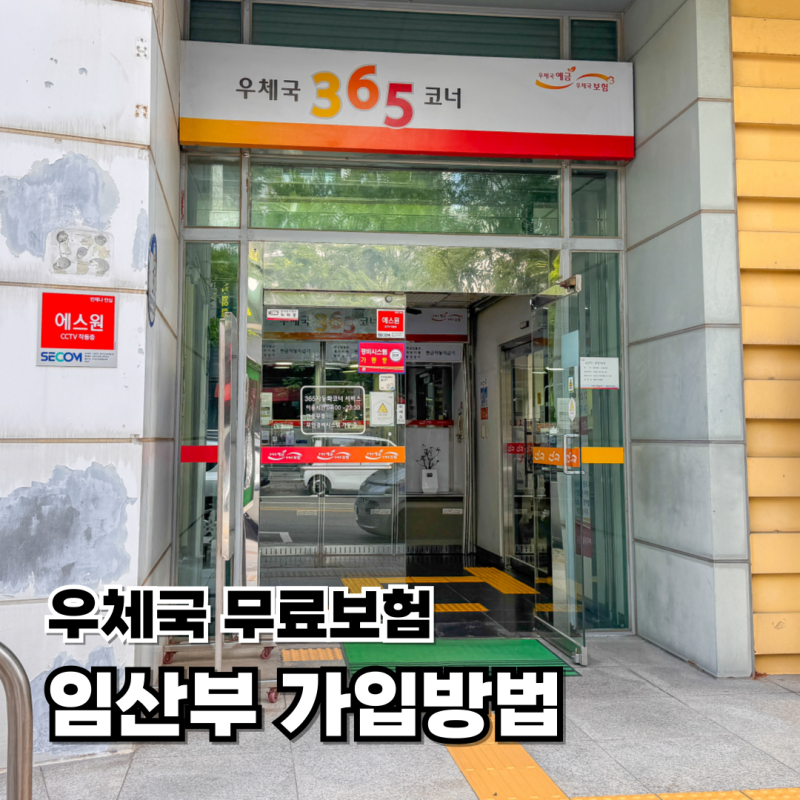 임산부 우체국 무료보험 가입방법 보장내용 준비서류