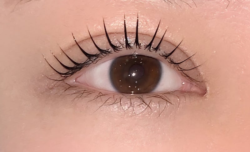 [LASH CARE][대전 봉명동 속눈썹펌]누와래쉬 "나만 안 바르고 있었어..?" 예쁜 속눈썹 오래 유지....