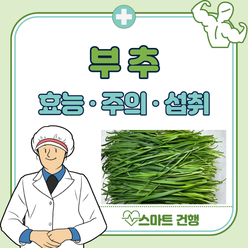부추 효능, 정력, 부작용 : 부추즙 효능, 남자 여자
