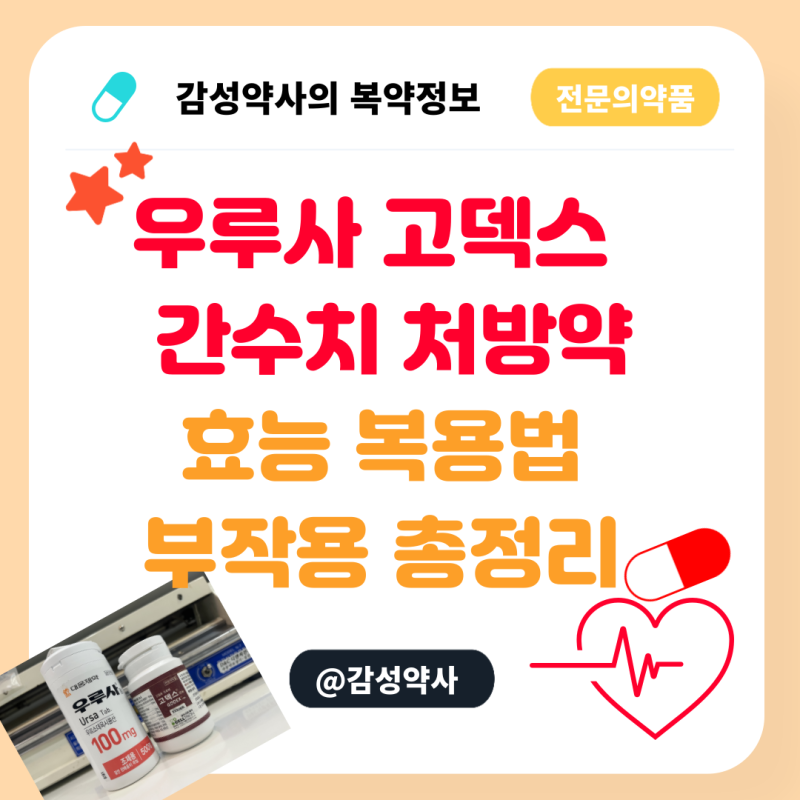 우루사 고덱스 차이 | 간수치 처방약 효능 복용법 부작용 총정리, 왜 나는 이 약을 받았을까....