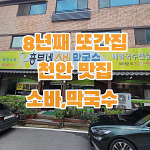 천안 막국수 맛집 흥부네 소바 막국수 / 8년째 또간집 메밀면 맛집